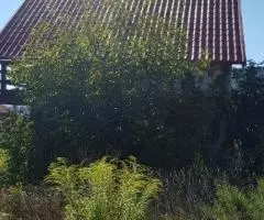 Sighisoara, Romania investment opportunity. - 5