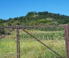 Sighisoara, Romania investment opportunity. - 7