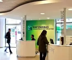 Ofrecemos préstamos