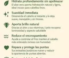 Acondicionador de aloe vera - 2