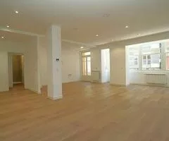 suelos de maderas laminados