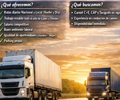 SE BUSCA CHOFER DE CAMIÓN(C+E)PUERTO VLC