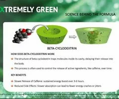 Energy Xtreme (E-X ) – Energía sostenida y enfoque diario (30 sobres) - 4