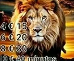 Soy vidente directa no doy rodeos  tarot 8 euros 30 minutos