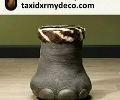 Réplica de Pata Delantera de Elefante