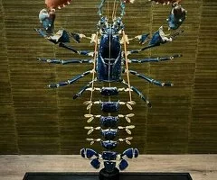 Beauchêne Langosta del Mar del Norte en Venta