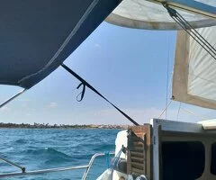 Vendo llaud exento ITB - 5