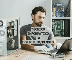 TÉCNICO INFORMÁTICO A DOMICILIO/REMOTO