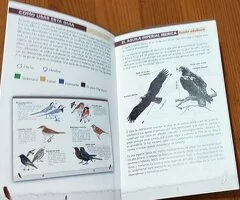 Libro  En el reino del aguila imperial ibérica - 4