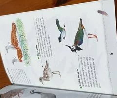 Libro  En el reino del aguila imperial ibérica - 6