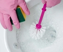 Servicios de limpieza y orden