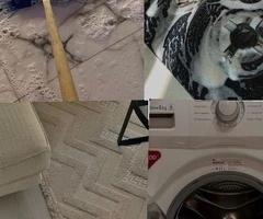 Servicios de limpieza y orden - 9