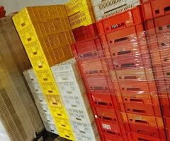 se venden cajas plasticas 1€ la caja