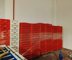 se venden cajas plasticas 1€ la caja - 3