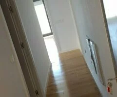 Limpieza profesional