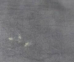 Pañuelo seda Tessa de Baviera - 4