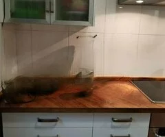 Dúplex en Chipiona (Cádiz) - Inversión y/o vivienda habitual - 5