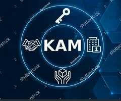 Key Account Manager- Sector Compuestos Plásticos