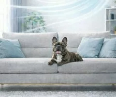 Instalación y reparación de aire acondicionado en Oliva