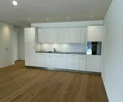 suelos de maderas laminados vinilos spc - 3