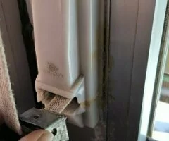 PERSIANISTA EN CENICIENTOS