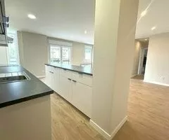 suelos de maderas laminados - 5