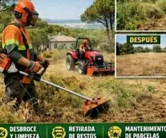 Desbroce y limpieza de finca en Chiclana