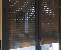 Persianista en Moraleja de Enmedio