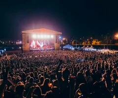 SE BUSCA MANAGER ARTÍSTICO