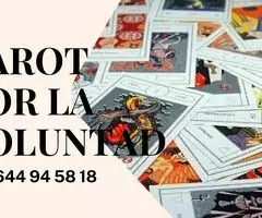 VIDENCIA POR LA VOLUNTAD