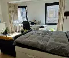 Estudio de un dormitorio de 24 m², recientemente renovado, en Madrid.
