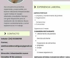 Limpieza y labores del hogar