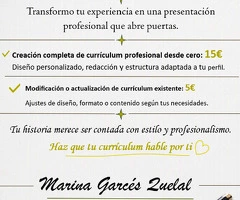 Diseño de currículum profesional que destaca tu perfil