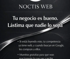 Servicio de webs profesional para negocios