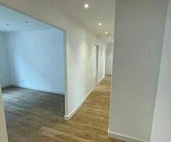 Suelos de maderas laminados