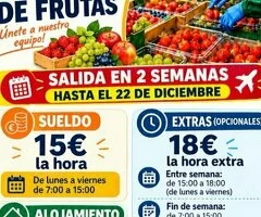 Envasado de frutas en Francia 15€ hora