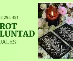 VIDENCIA POR LA VOLUNTAD