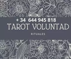TAROT+VIDENCIA POR LA VOLUNTAD