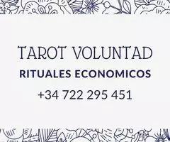 VIDENCIA POR LA VOLUNTAD