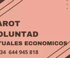 VIDENCIA POR LA VOLUNTAD