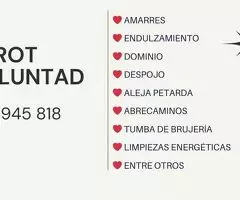 VIDENCIA POR LA VOLUNTAD