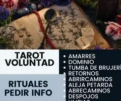 VIDENCIA POR LA VOLUNTAD