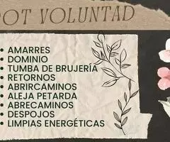 TAROT+VIDENCIA POR LA VOLUNTAD