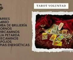 VIDENCIA POR LA VOLUNTAD