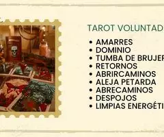 TAROT+VIDENCIA POR LA VOLUNTAD