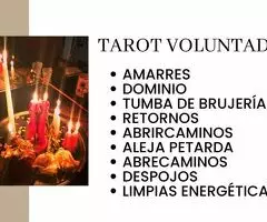 tarot videncia y rituales fiable