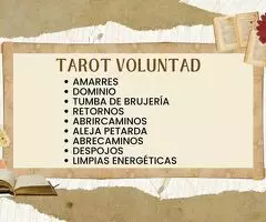 TAROT+VIDENCIA POR LA VOLUNTAD