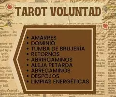 VIDENCIA POR LA VOLUNTAD