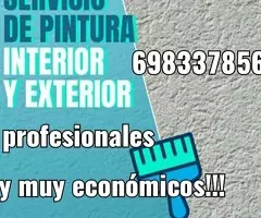 Pintor profesional económico!!!