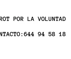 TAROT  Y VIDENCIA LA VOLUNTAD 1